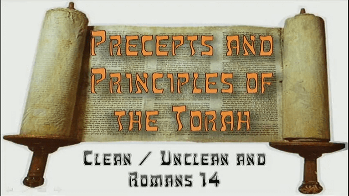 Precepts & Principles of the Torah -Clean/Unclean and the Good News of Messiah - Study