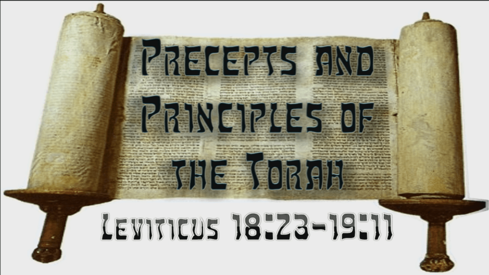 Precepts & Principles of the Torah - Lev. 18:23 - 19:10 - Study