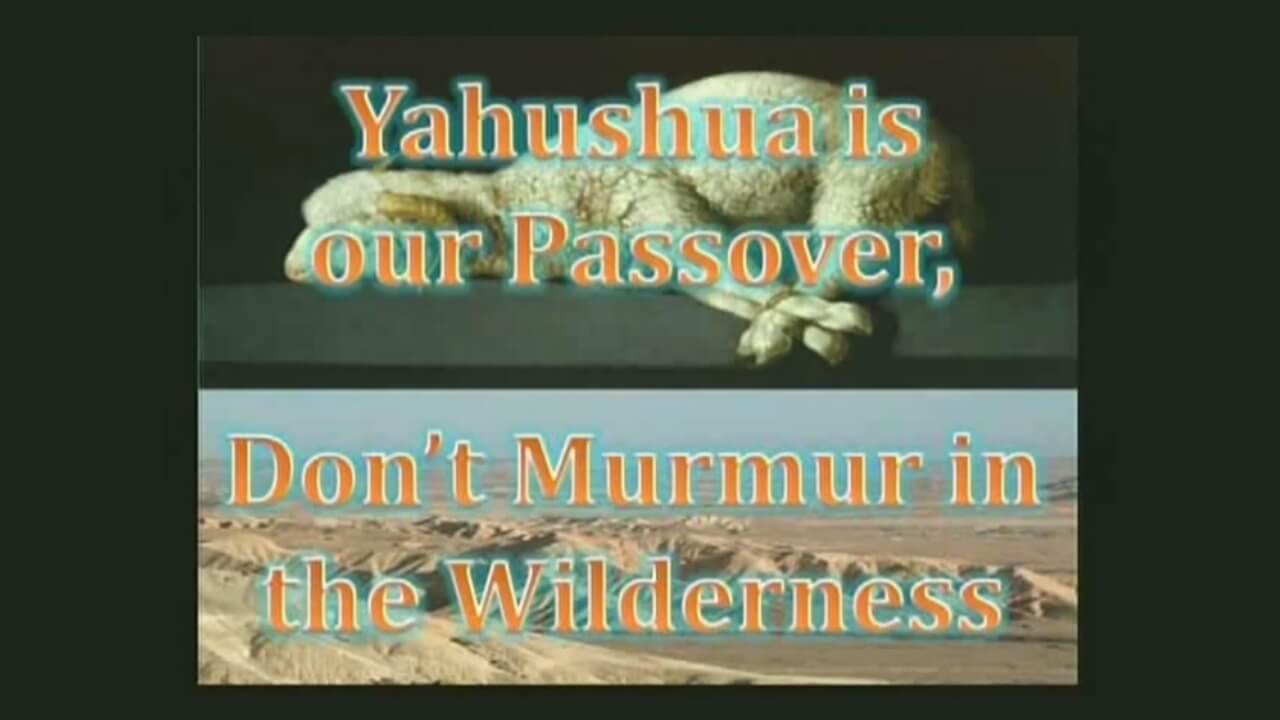 Yahushua is our Passover, Lets not Murmur in the Wilderness